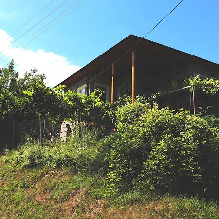 Вила Ирена Radevtsi Exterior photo