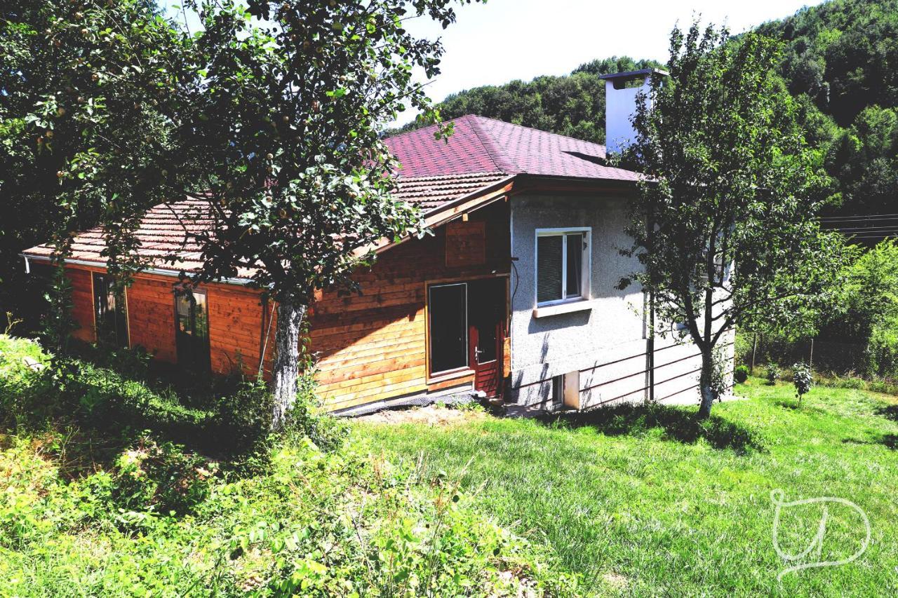 Вила Ирена Radevtsi Exterior photo